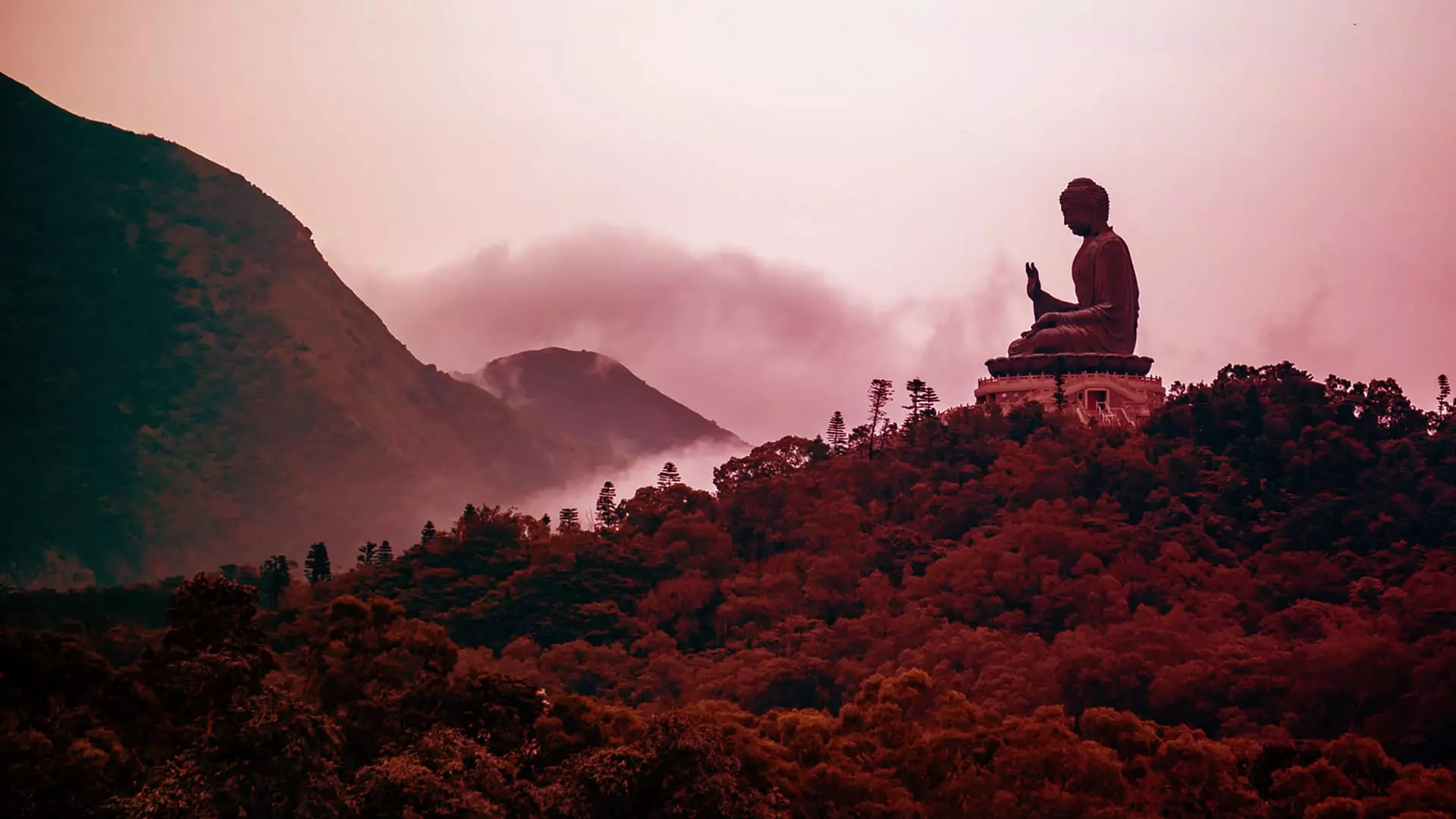 An Official introduction to Big Mind as Western Zen - Jung Platform
