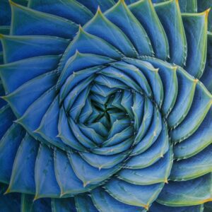 Recovering Wonder: Drawing Upon Ecological & Artistic Intuitions