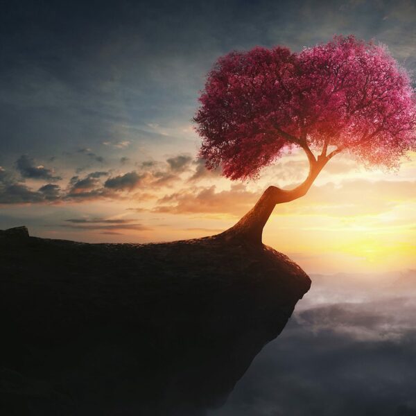 Life as a Soul Journey — Live Online Conference Life as a Soul Journey — Live Online Conference