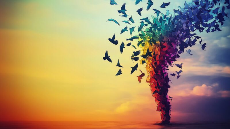 The Joy of Jungian Coaching